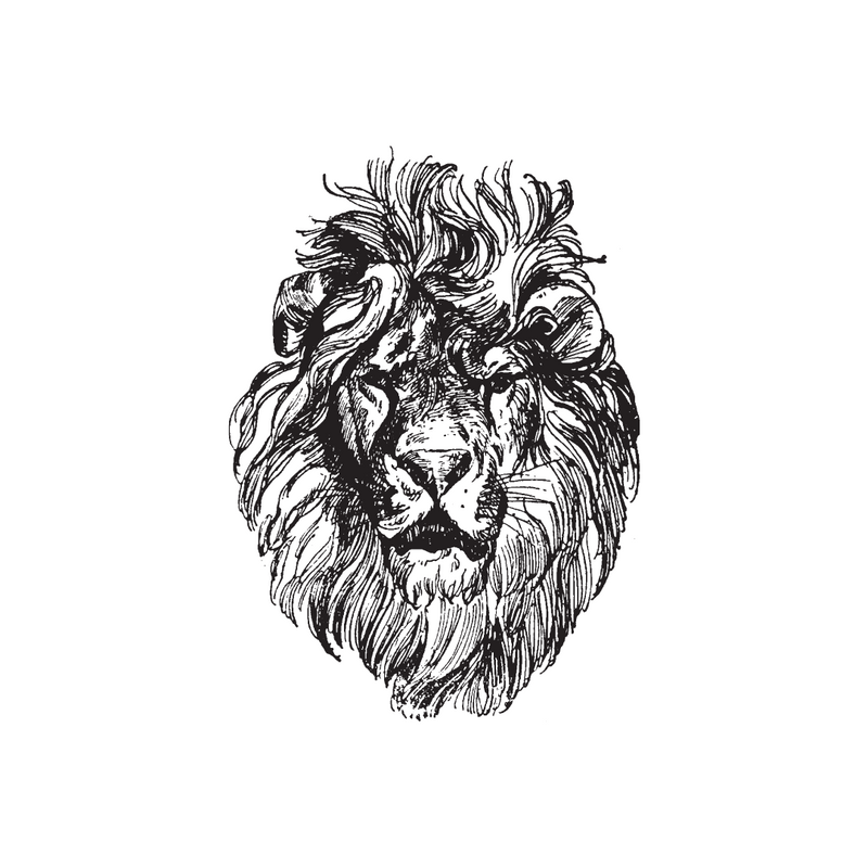 Lion's Mane Beard Balm